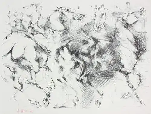 Fritz Martinez (1924-2002), signierte Lithographie, Pferde und Reiter, 1975