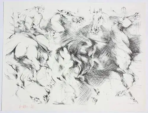 Fritz Martinez (1924-2002), signierte Lithographie, Pferde und Reiter, 1975