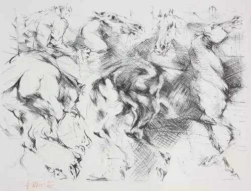 Fritz Martinez (1924-2002), signierte Lithographie, Pferde und Reiter, 1975