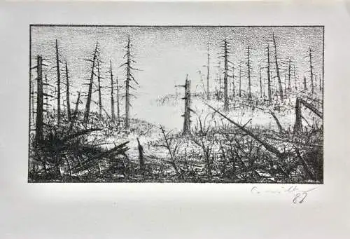 Claus Müller-Schloen (1953-2015), signierte Lithographie mit Opti-Folie, 1988