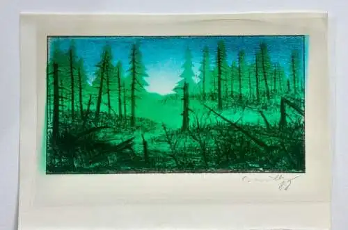 Claus Müller-Schloen (1953-2015), signierte Lithographie mit Opti-Folie, 1988