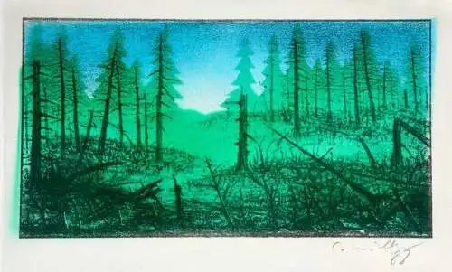 Claus Müller-Schloen (1953-2015), signierte Lithographie mit Opti-Folie, 1988