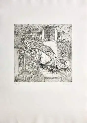 Ernst Kösslinger (geb. 1926) signierte Radierung "Garten im Herbst" Sonnenblume
