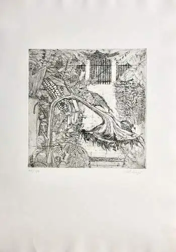 Ernst Kösslinger (geb. 1926) signierte Radierung "Garten im Herbst" Sonnenblume