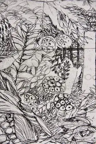Ernst Kösslinger (geb. 1926) signierte Radierung "Garten im Herbst" Sonnenblume