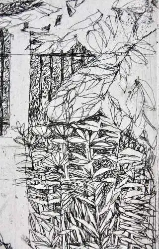 Ernst Kösslinger (geb. 1926) signierte Radierung "Garten im Herbst" Sonnenblume