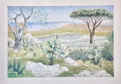 Motiv aus Catania, Sizilien, Landschaft mit Kakteen Aquarell signiert "I. Röder"