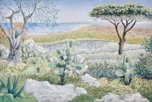 Motiv aus Catania, Sizilien, Landschaft mit Kakteen Aquarell signiert "I. Röder"