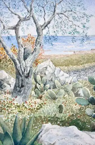 Motiv aus Catania, Sizilien, Landschaft mit Kakteen Aquarell signiert "I. Röder"