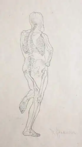 Rudolf Schramm-Zittau (1874-1950), signierte Zeichnung, Anatomie-Studie, Skelett