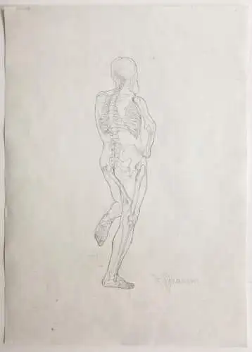 Rudolf Schramm-Zittau (1874-1950), signierte Zeichnung, Anatomie-Studie, Skelett