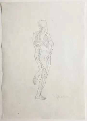 Rudolf Schramm-Zittau (1874-1950), signierte Zeichnung, Anatomie-Studie, Skelett