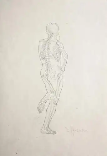 Rudolf Schramm-Zittau (1874-1950), signierte Zeichnung, Anatomie-Studie, Skelett