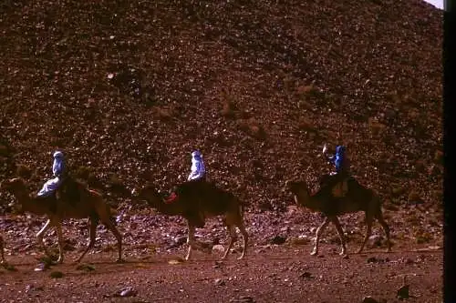 Vintage Dia Slide 35mm Algeria Atakor  3 Men on Camel Back 1960/70s