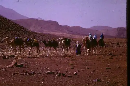 Vintage Dia Slide 35mm Algeria Atakor  on Camel Back 1960/70s