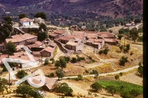 Vintage Dia Slide 35mm Algeria Tizi Ouzou Village  60/70s