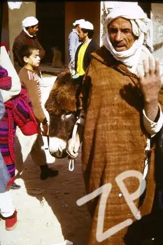 Vintage Dia Slide 35mm Algeria Man with his donkey 60/70s