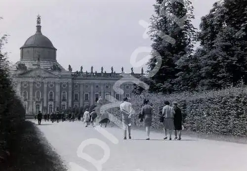 Vintage Negativ Foto Potsdam - Sanssouci  Deutschland 1950s  B10/2