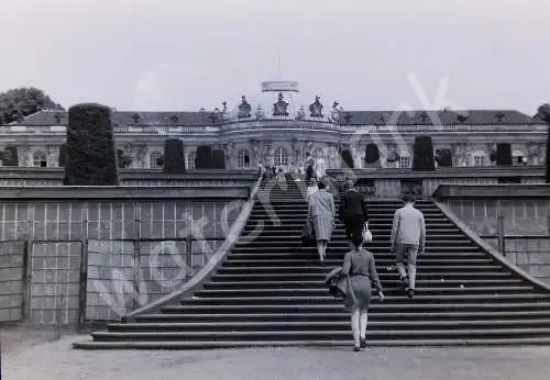 Vintage Negativ Foto Potsdam - Sanssouci  Deutschland 1950s  B10/50