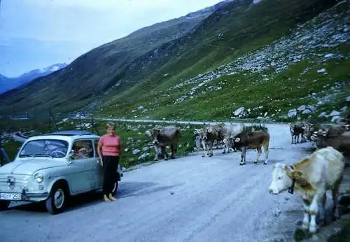 Orig 35mm DIA Slide Fiat 600 unterwegs  '60s B12/4/28-31