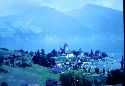 Vintage Dia Film Slide 35mm Schloss Spiez Thunersee Schweiz  '70s  B9/100