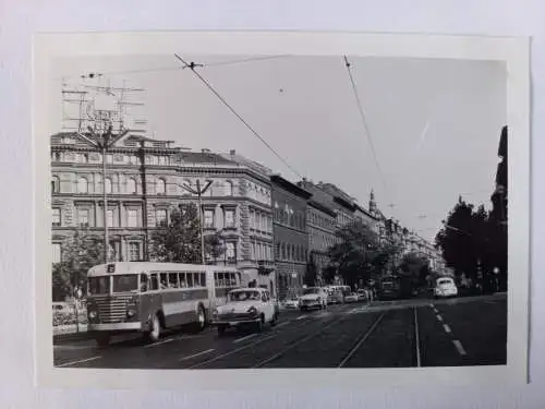 Vintage Foto B&W IKARUS 60 Gelenk Bus   1960s  10,5 x 8,5cm