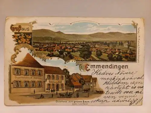 AK Postcard CPA  Grus aus Emmendingen Gasthaus zum grünen Baum 1900