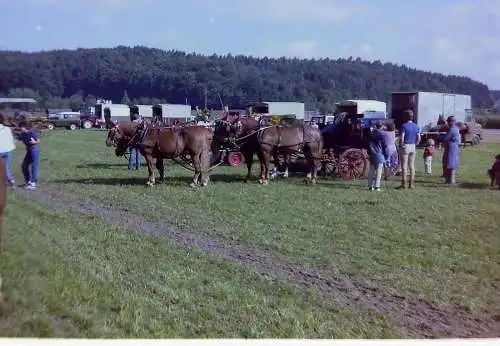 Vintage Negativ Foto 16x  Pferdeshow in der Schweiz   '70s 13/K3/1-16