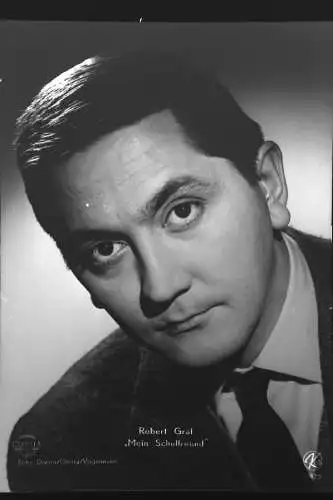 Vintage Glasnegativ Platte Glassnegative Robert Graf