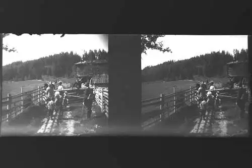 Antique  Stereo Glasnegativ Platten 23 Stk. - Leben in den frühen 1900er  -Tirol