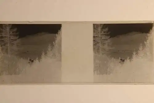 Antique  Stereo Glasnegativ Platten 5 Stk. - Leben in den frühen 1900er  -Tirol