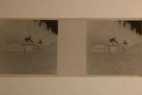 Antique  Stereo Glasnegativ Platten 5 Stk. - Leben in den frühen 1900er  -Tirol