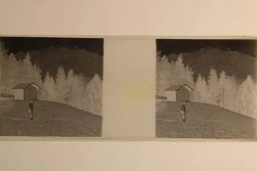 Antique  Stereo Glasnegativ Platten 5 Stk. - Leben in den frühen 1900er  -Tirol