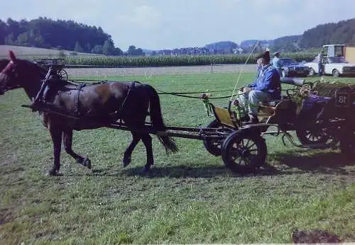 Vintage Negativ Foto 16x  Pferdeshow in der Schweiz   '70s 13/K3/1-16
