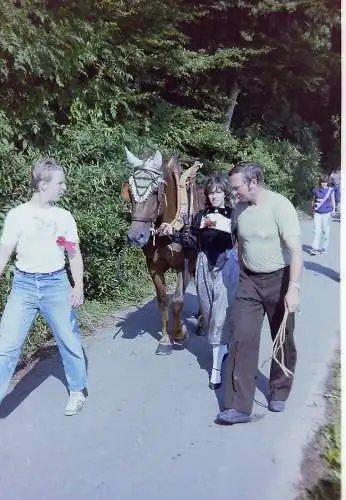 Vintage Negativ Foto 21x  Pferdeshow, Pussta - Ungarn /?/  '70s 13/K3/1/19-36 -2