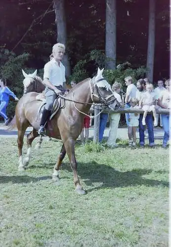 Vintage Negativ Foto 21x  Pferdeshow, Pussta - Ungarn /?/  '70s 13/K3/1/19-36 -2