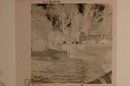 Vintage Negativ Foto 11x Zoo Tiere Elefanten Deutschland  '60s