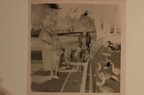 Vintage Negativ Foto 11x Zoo Tiere Elefanten Deutschland  '60s