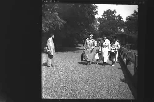 Vintage Negativ Foto 11x Zoo Tiere Elefanten Deutschland  '60s