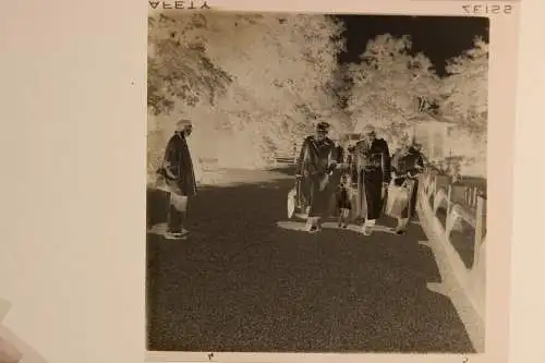 Vintage Negativ Foto 11x Zoo Tiere Elefanten Deutschland  '60s