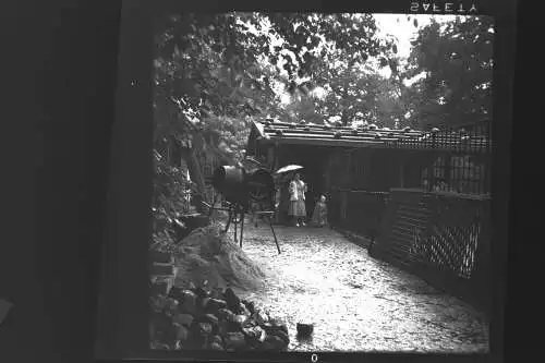 Vintage Negativ Foto 11x Zoo Tiere Elefanten Deutschland  '60s