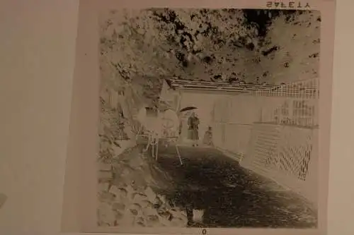 Vintage Negativ Foto 11x Zoo Tiere Elefanten Deutschland  '60s