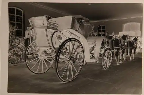 Vintage Negativ Foto 7x Kutschenausstellung München Nymphenburg  '60s