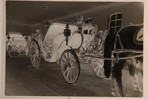 Vintage Negativ Foto 7x Kutschenausstellung München Nymphenburg  '60s
