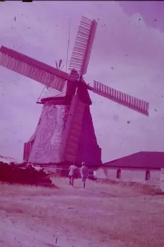 Vintage Dia Film Slide 35mm 3 Stk.  Windmühle '60s B3/L21-22-23