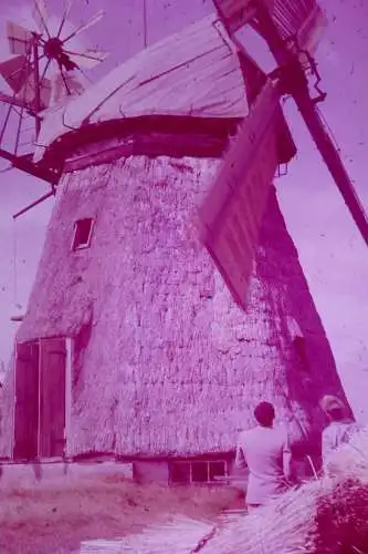 Vintage Dia Film Slide 35mm 3 Stk.  Windmühle '60s B3/L21-22-23