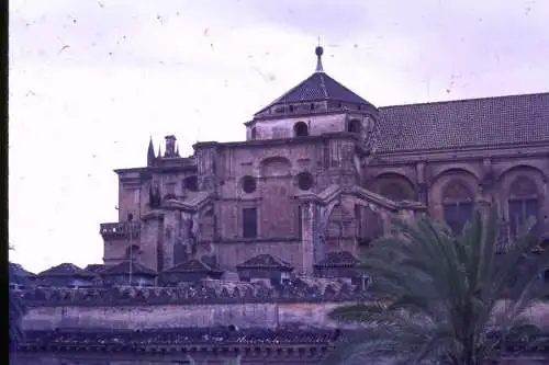 Vintage Dia Film Slide 35mm Cordoba Mezquita  Spain Spanien  '60 B4/L98