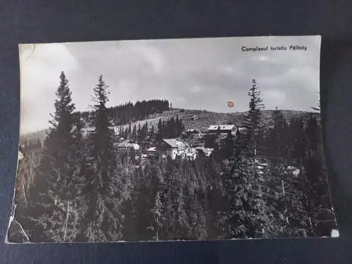 AK Postcard CPA Rumänien Complexul turistic Pältinis