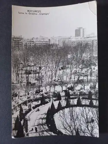 AK Postcard CPA Rumänien BUCURESTI IARNA IN GRADINA CISMIGIU CIRCULATA