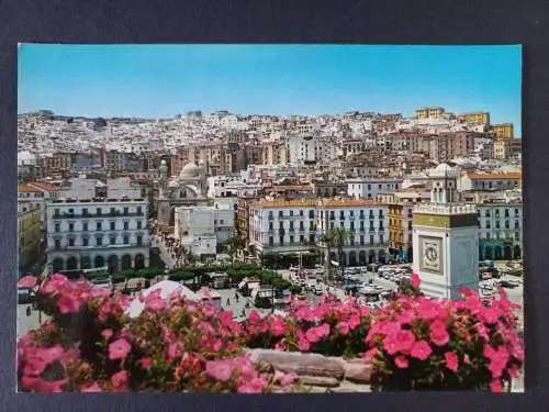 AK Postcard CPA Algerien Alger La Blanche